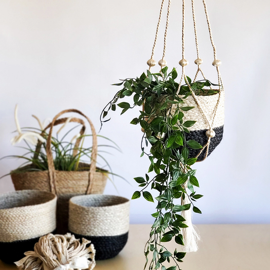 Plant Hanger - Nadu